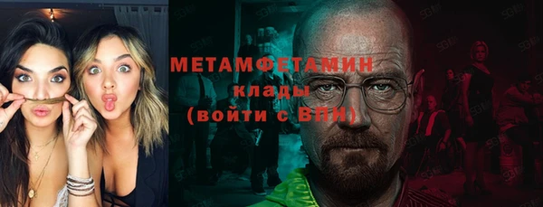 гидра Алексеевка