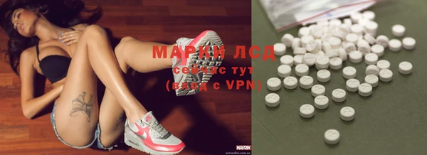 гидра Алексеевка