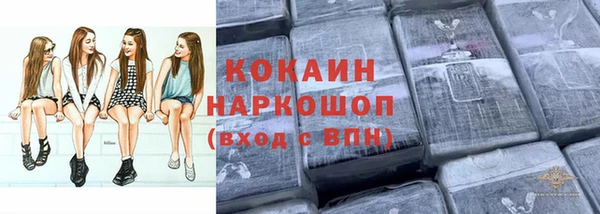гидра Алексеевка