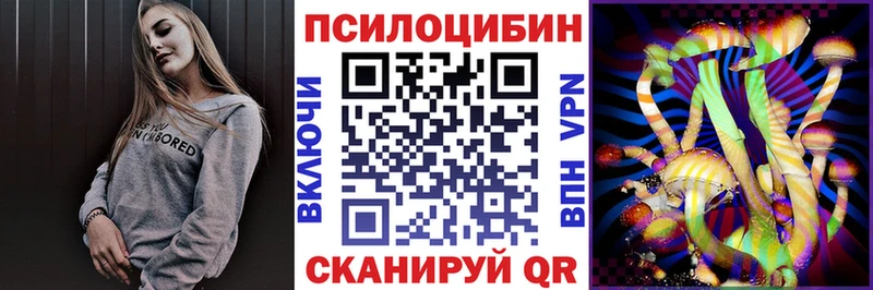 Галлюциногенные грибы Psilocybe  цена   площадка Telegram  Большой Камень 